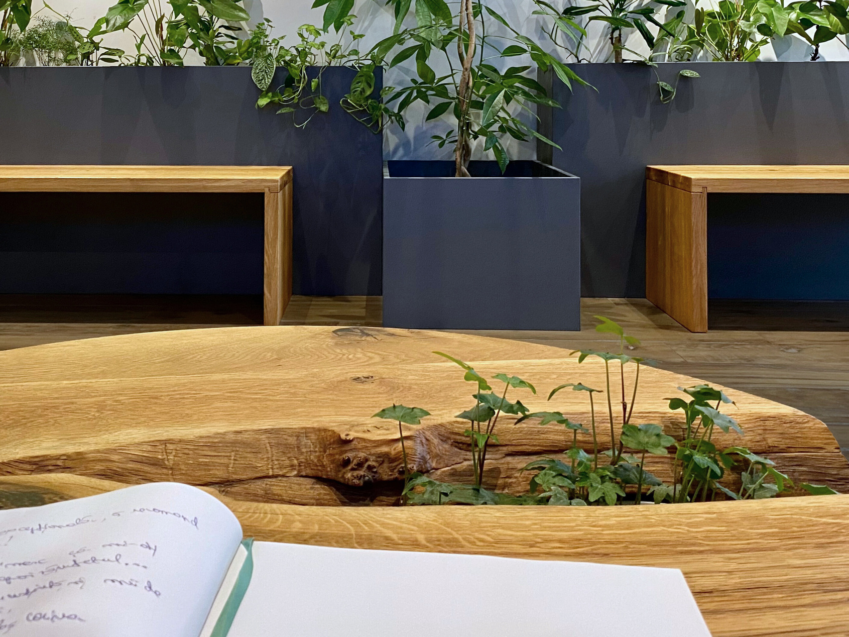 O masuta de cafea boema, cu plante, blat de lemn masiv.